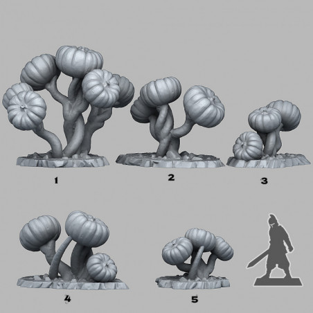 Fantastic Plants & Rocks -  