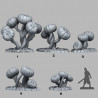 Fantastic Plants & Rocks -  