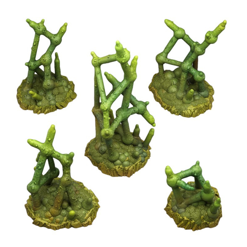 Fantastic Plants & Rocks -  