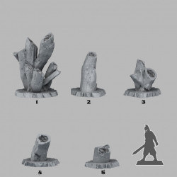 Fantastic Plants & Rocks -   (2)