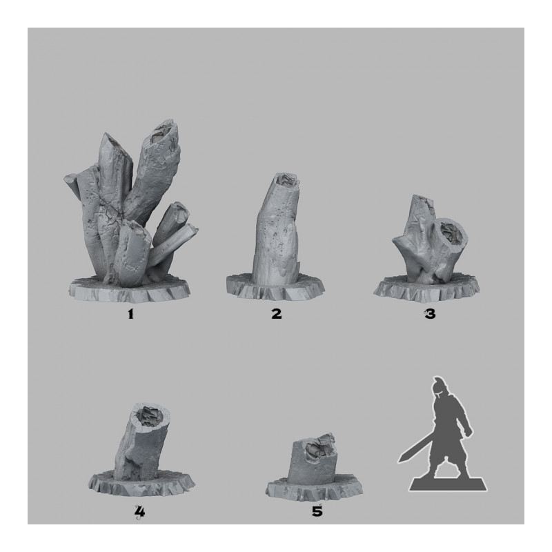 Fantastic Plants & Rocks -  