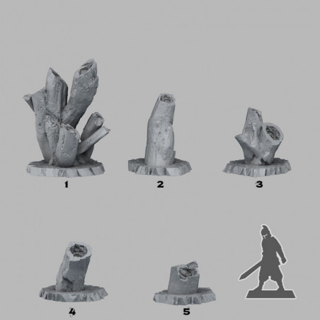Fantastic Plants & Rocks -  