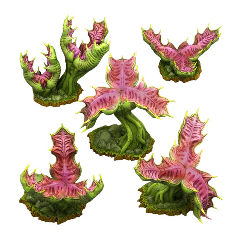 Fantastic Plants & Rocks -  