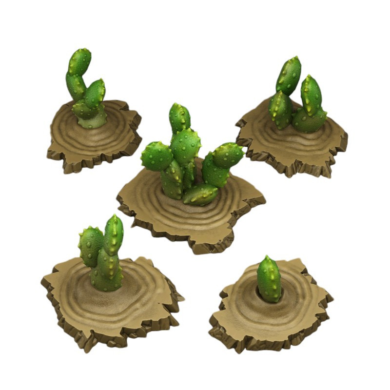 Fantastic Plants & Rocks -  