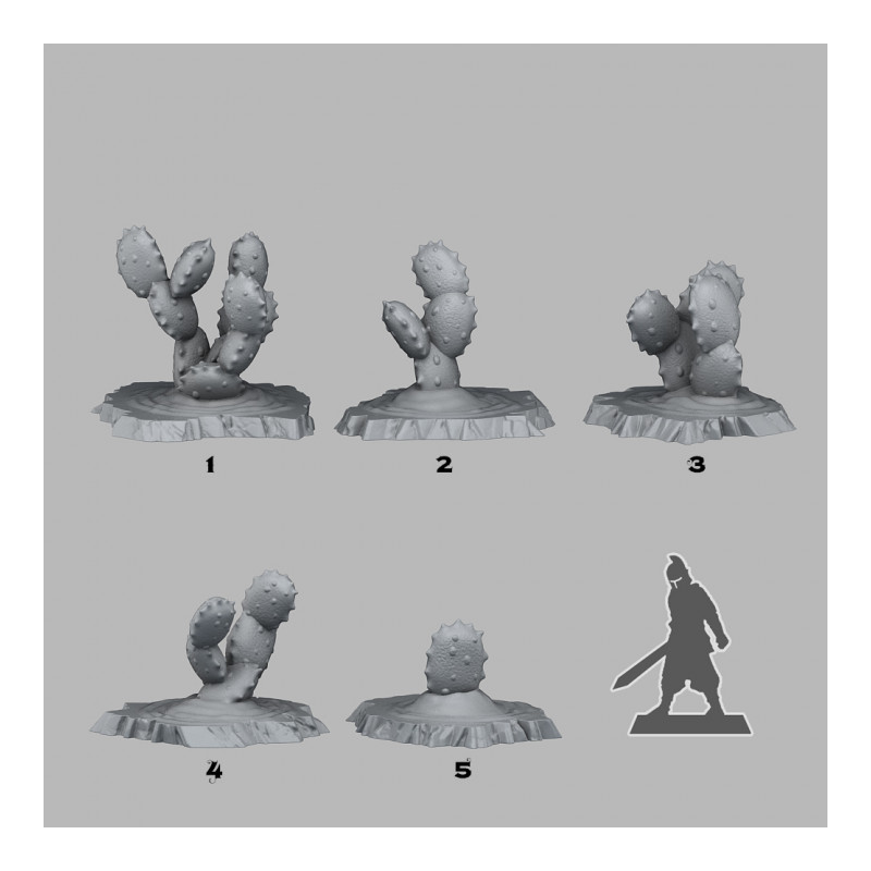 Fantastic Plants & Rocks -  