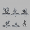 Fantastic Plants & Rocks -  