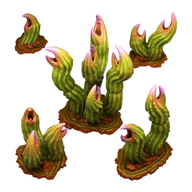 Fantastic Plants & Rocks -  