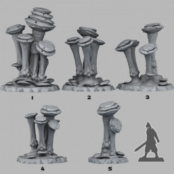 Fantastic Plants & Rocks -   (2)
