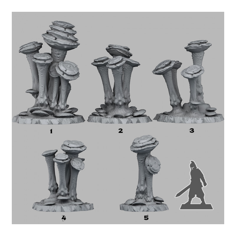 Fantastic Plants & Rocks -  