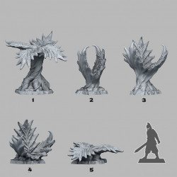 Fantastic Plants & Rocks -   (2)