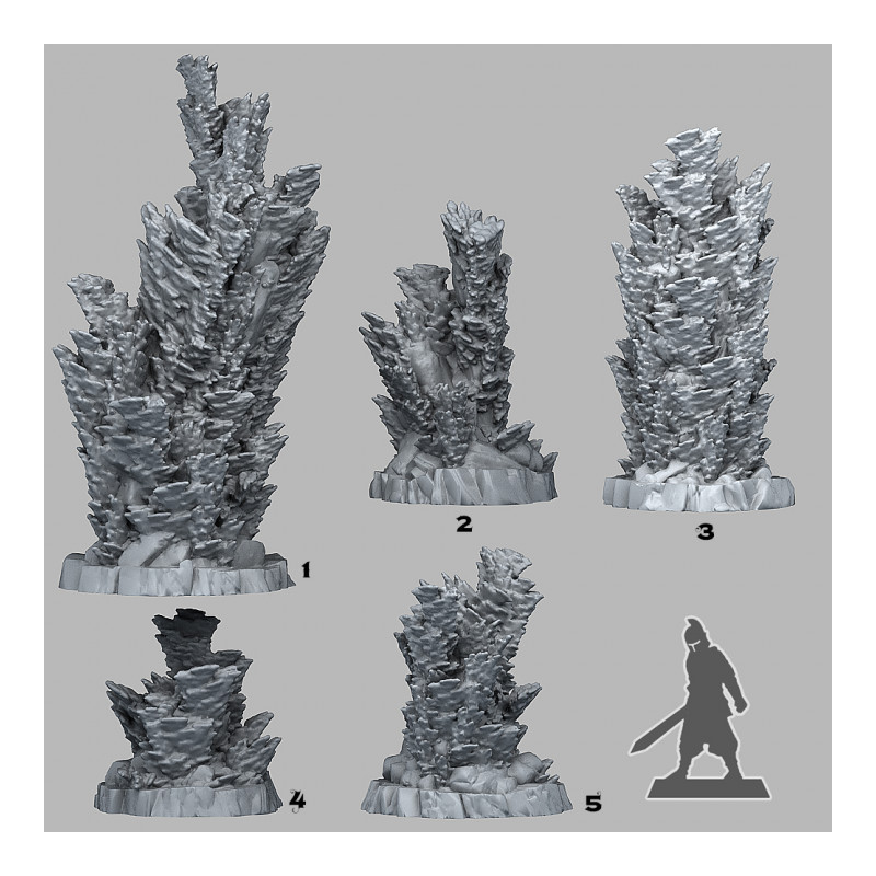 Fantastic Plants & Rocks -  