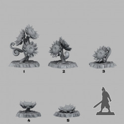 Fantastic Plants & Rocks -   (2)
