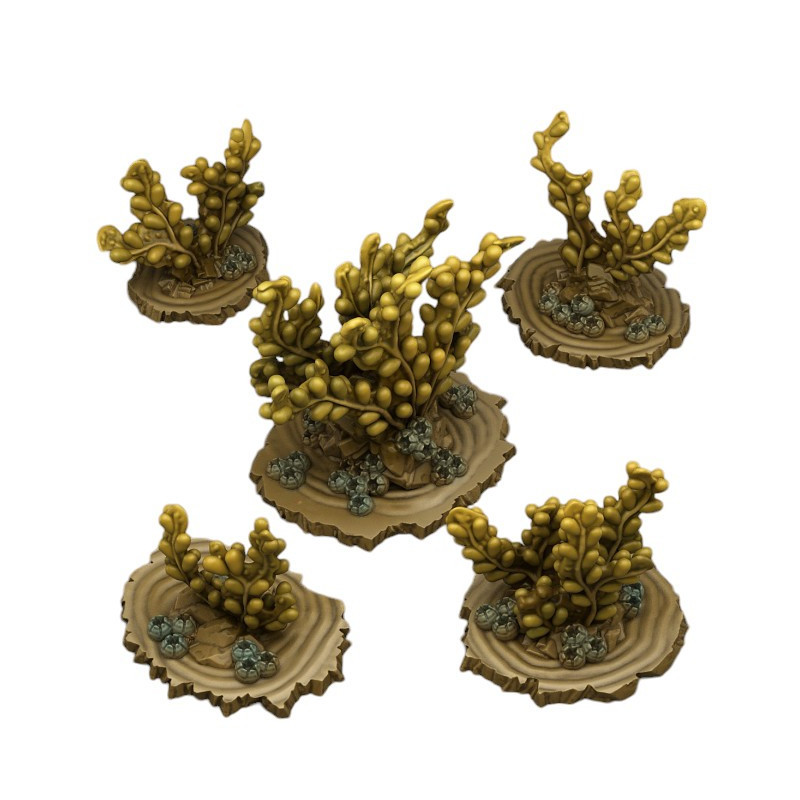 Fantastic Plants & Rocks -  