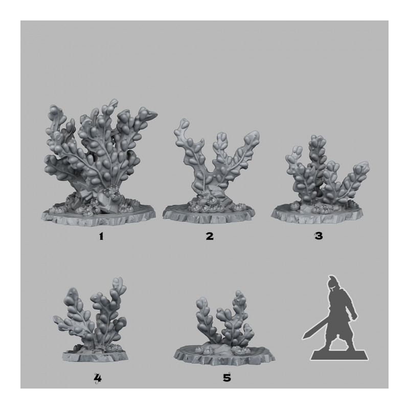 Fantastic Plants & Rocks -  