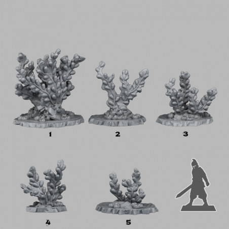 Fantastic Plants & Rocks -  