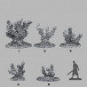 Fantastic Plants & Rocks -  