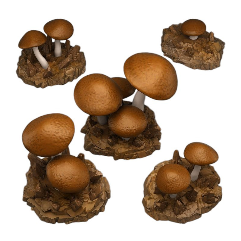 Fantastic Plants & Rocks -  