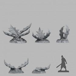 Fantastic Plants & Rocks -   (2)