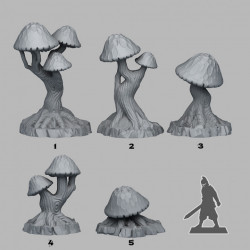 Fantastic Plants & Rocks -   (2)
