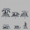 Fantastic Plants & Rocks -  