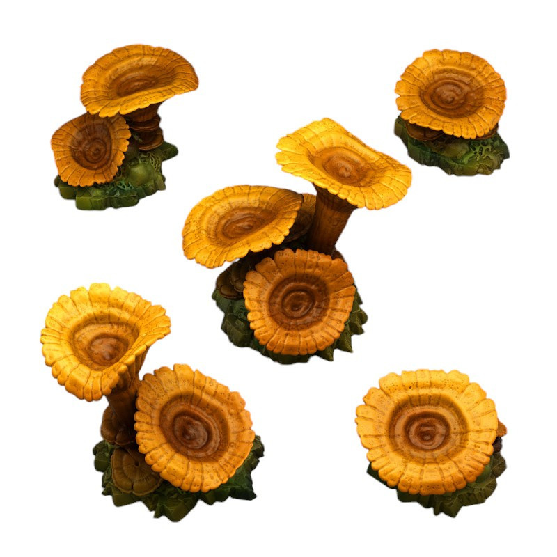 Fantastic Plants & Rocks -  