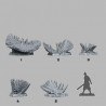 Fantastic Plants & Rocks -  