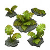 Fantastic Plants & Rocks -  