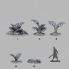 Fantastic Plants & Rocks -  