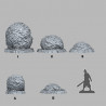 Fantastic Plants & Rocks -  