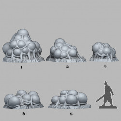 Fantastic Plants & Rocks -   (2)