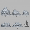 Fantastic Plants & Rocks -  