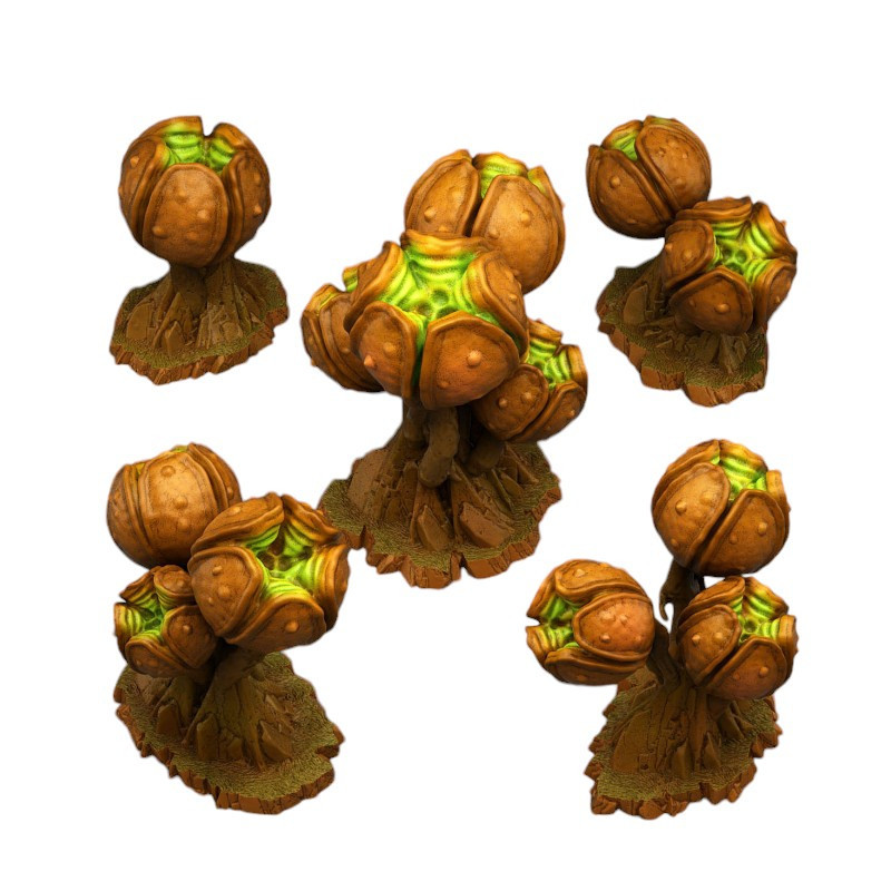 Fantastic Plants & Rocks -  