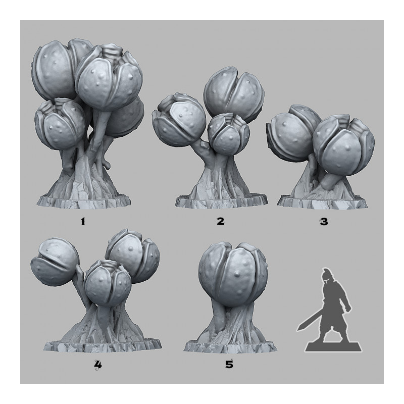 Fantastic Plants & Rocks -  