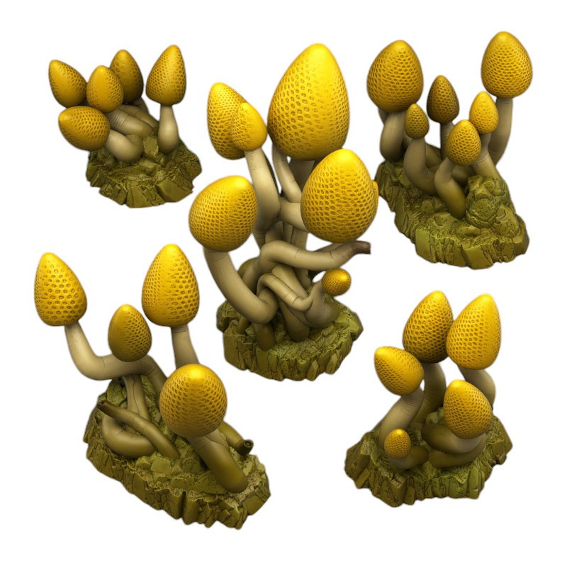 Fantastic Plants & Rocks -  