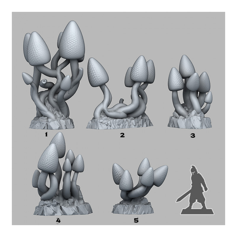 Fantastic Plants & Rocks -  