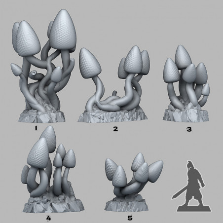 Fantastic Plants & Rocks -  