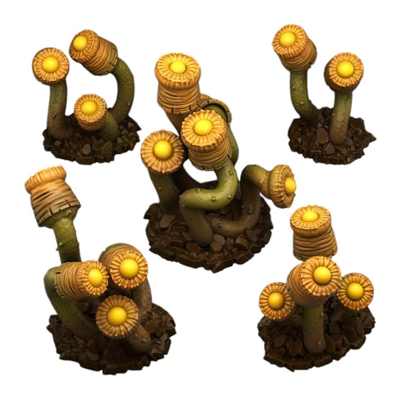 Fantastic Plants & Rocks -  
