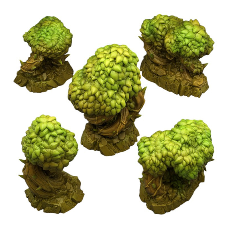 Fantastic Plants & Rocks -  