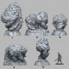 Fantastic Plants & Rocks -  