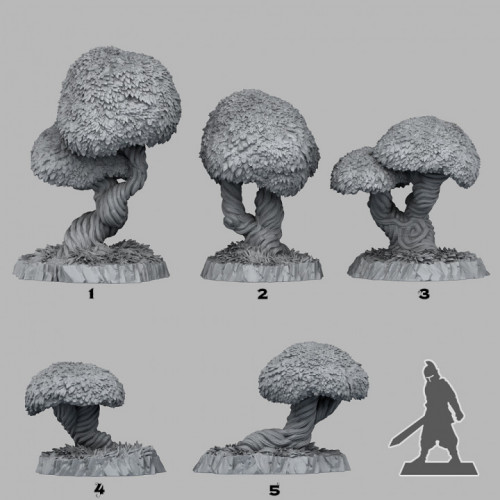 Fantastic Plants & Rocks -  