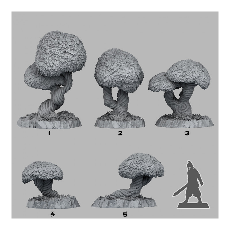 Fantastic Plants & Rocks -  