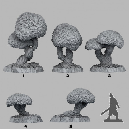 Fantastic Plants & Rocks -  