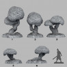 Fantastic Plants & Rocks -  