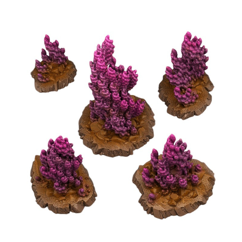 Fantastic Plants & Rocks -  