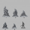 Fantastic Plants & Rocks -  