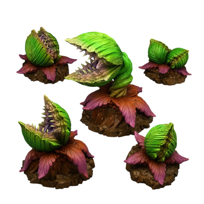 Fantastic Plants & Rocks -  