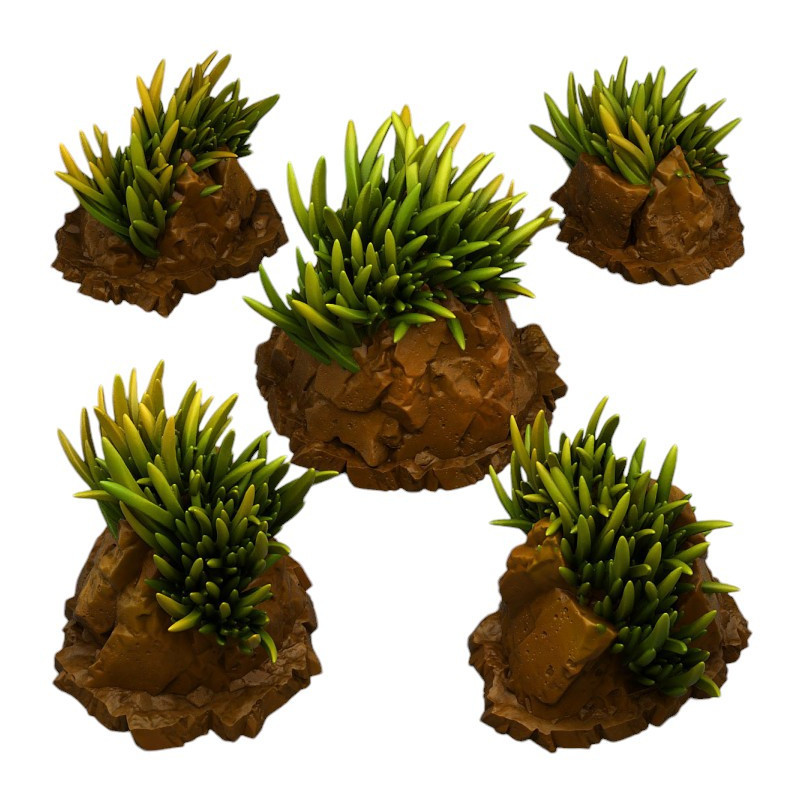 Fantastic Plants & Rocks -  