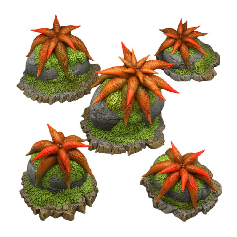 Fantastic Plants & Rocks -  
