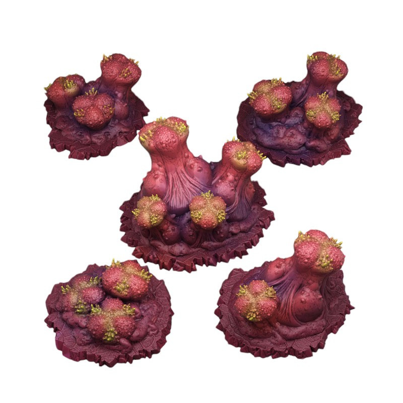 Fantastic Plants & Rocks -  
