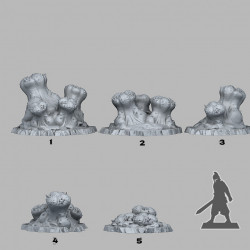 Fantastic Plants & Rocks -   (2)